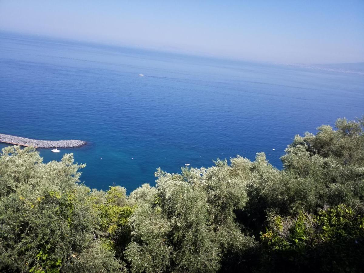 Mediterranean Apartments Capo dʼOrlando Zewnętrze zdjęcie